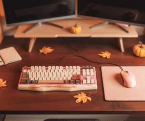 How to Build a Cozy Dual-Monitor Gaming Setup (Step-by-Step Guide)